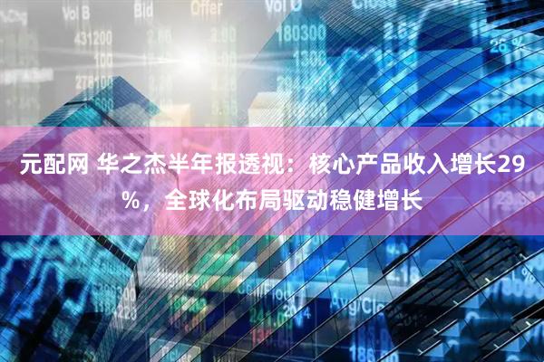元配网 华之杰半年报透视：核心产品收入增长29%，全球化布局驱动稳健增长