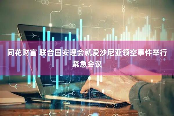 同花财富 联合国安理会就爱沙尼亚领空事件举行紧急会议