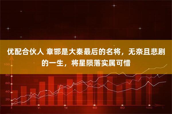 优配合伙人 章邯是大秦最后的名将，无奈且悲剧的一生，将星陨落实属可惜