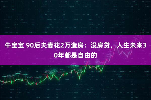 牛宝宝 90后夫妻花2万造房:没房贷,人生未来30年都是自由的